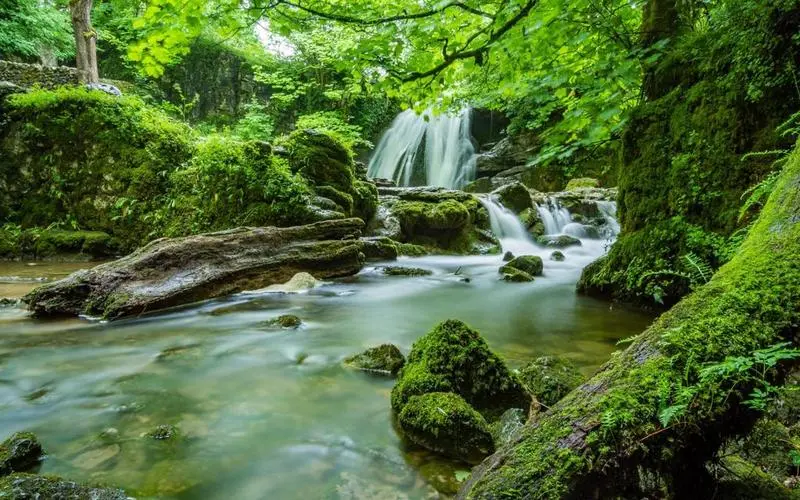 稳定性稳定性精密